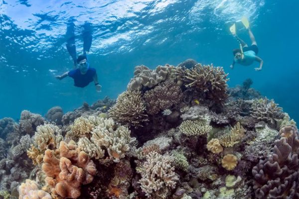 GREAT BARRIER REEF and SYDNEY DISCOVERY